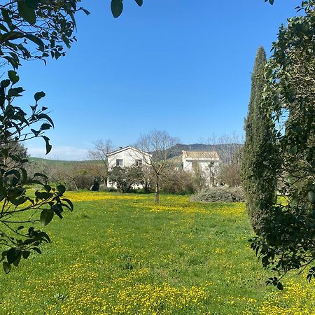 Agriturismo Colle Igino Matera Extérieur photo