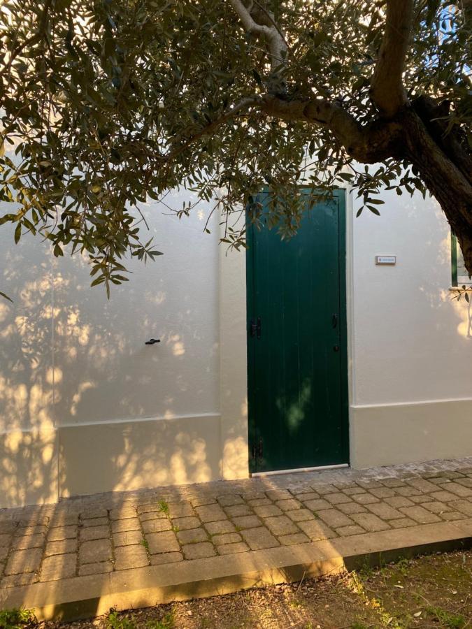Agriturismo Colle Igino Matera Extérieur photo