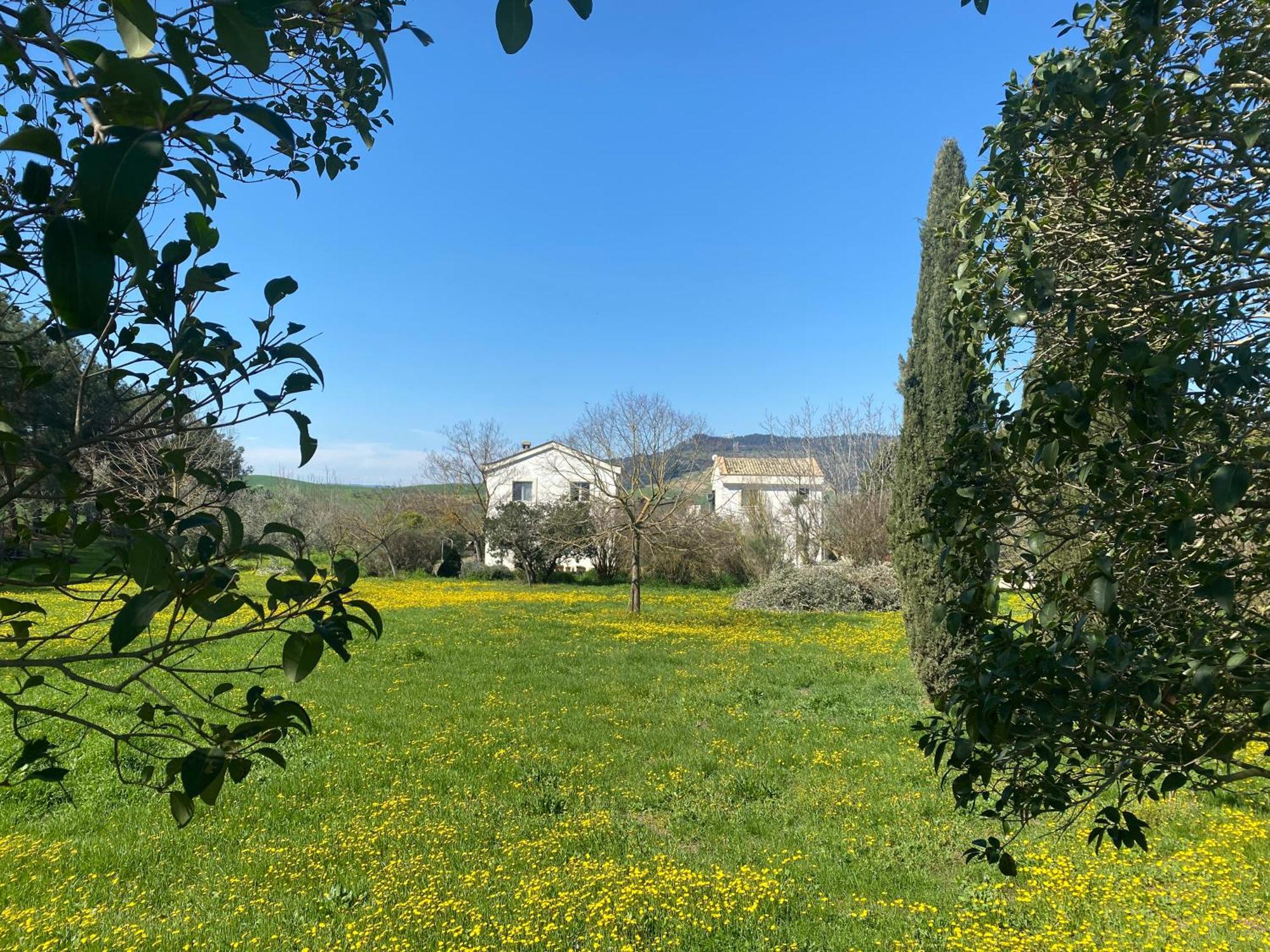Agriturismo Colle Igino Matera Extérieur photo