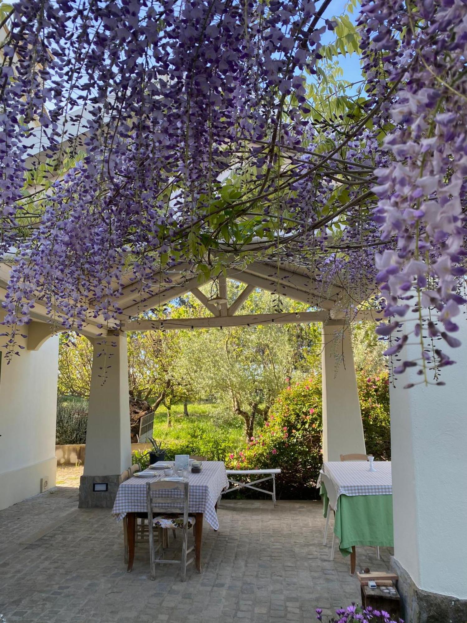 Agriturismo Colle Igino Matera Extérieur photo